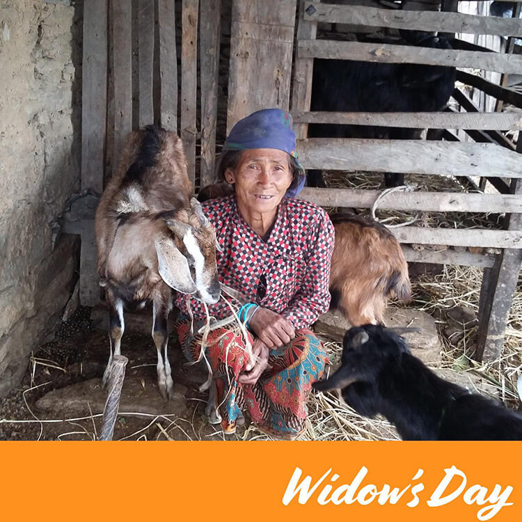 LMI’s Overseas Ministry ‘Goats for Widows’ Project in Nepal